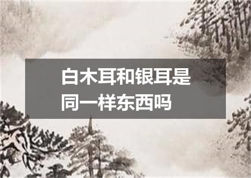 白木耳和银耳是同一样东西吗