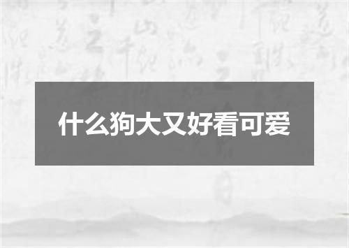 什么狗大又好看可爱