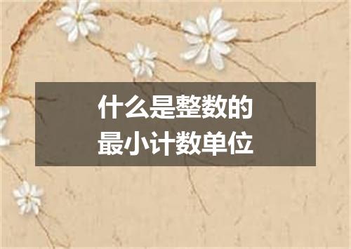 什么是整数的最小计数单位