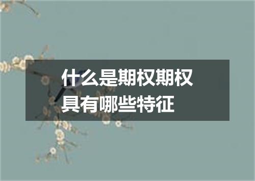 什么是期权期权具有哪些特征