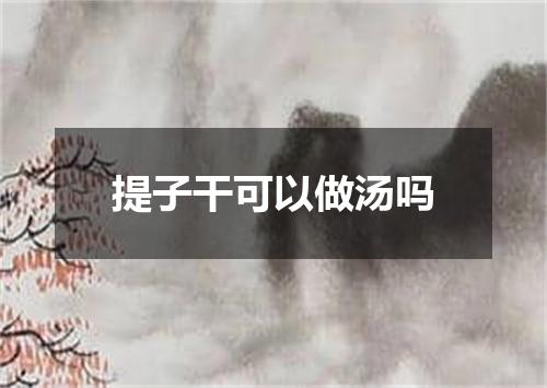 提子干可以做汤吗