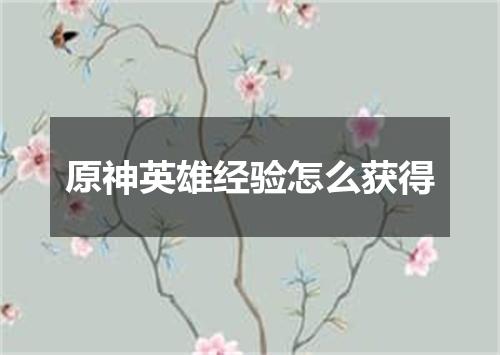 原神英雄经验怎么获得