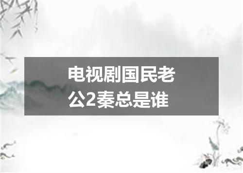 电视剧国民老公2秦总是谁