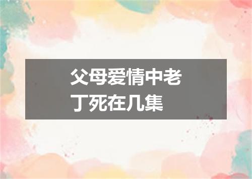父母爱情中老丁死在几集