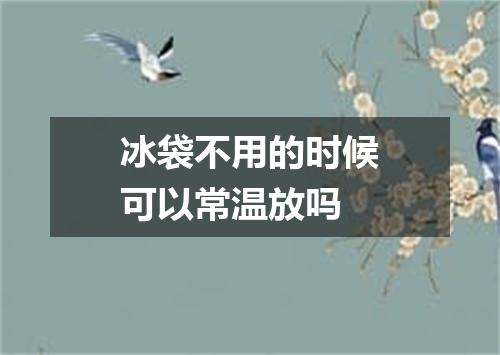 冰袋不用的时候可以常温放吗