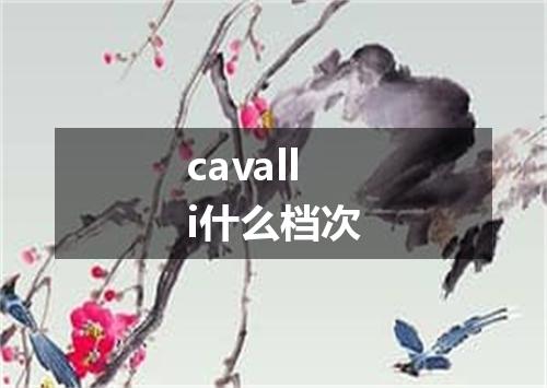 cavalli什么档次