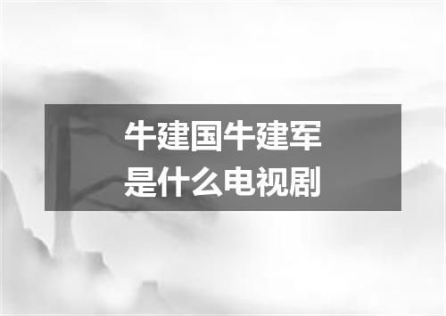 牛建国牛建军是什么电视剧