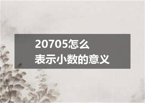 20705怎么表示小数的意义