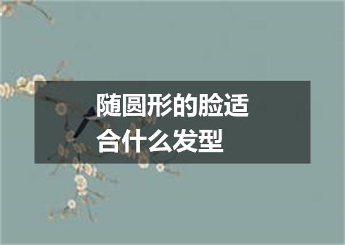 随圆形的脸适合什么发型