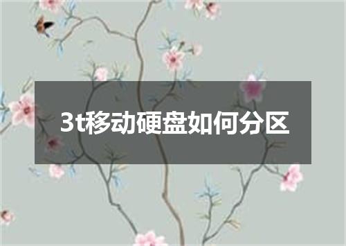 3t移动硬盘如何分区