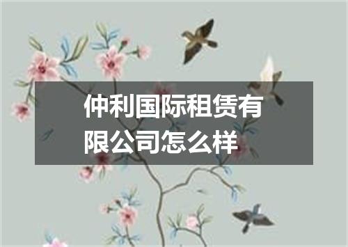 仲利国际租赁有限公司怎么样