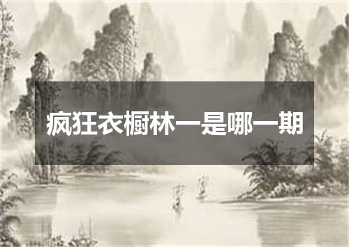 疯狂衣橱林一是哪一期