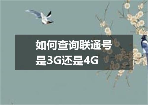 如何查询联通号是3G还是4G
