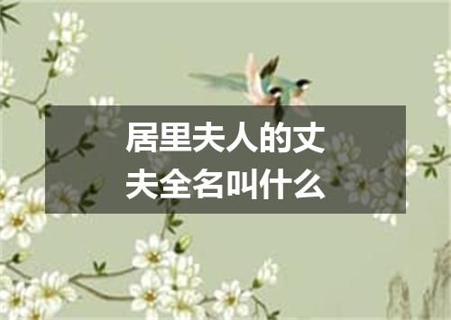 居里夫人的丈夫全名叫什么