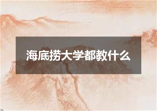 海底捞大学都教什么