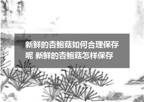 新鲜的杏鲍菇如何合理保存呢 新鲜的杏鲍菇怎样保存