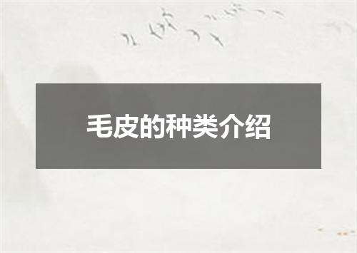 毛皮的种类介绍