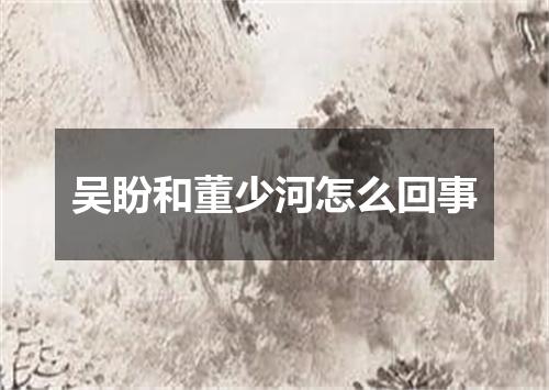 吴盼和董少河怎么回事