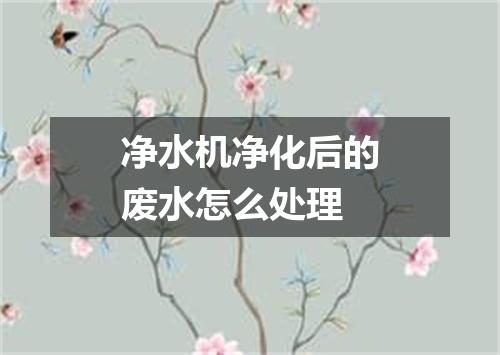 净水机净化后的废水怎么处理