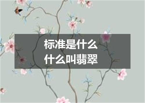 标准是什么 什么叫翡翠