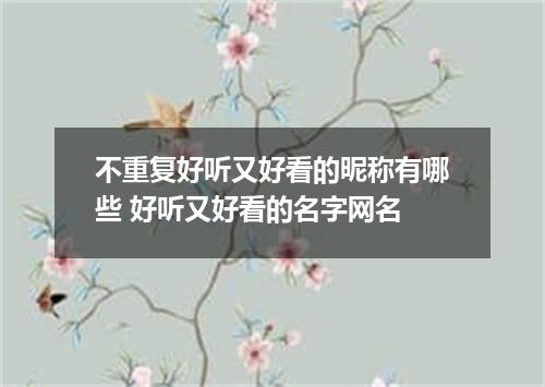 不重复好听又好看的昵称有哪些 好听又好看的名字网名
