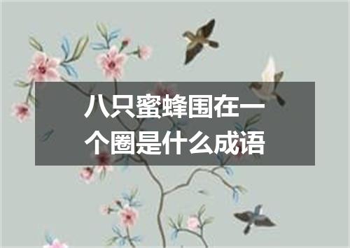 八只蜜蜂围在一个圈是什么成语