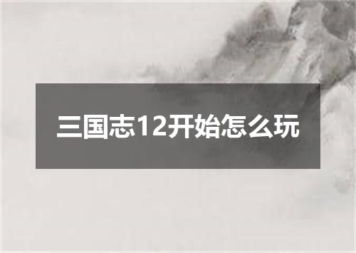 三国志12开始怎么玩