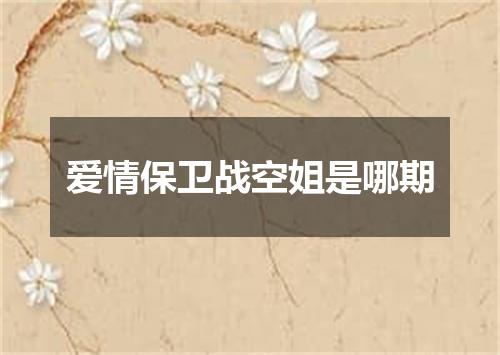 爱情保卫战空姐是哪期