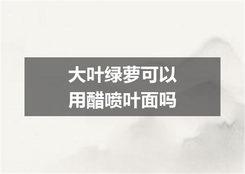 大叶绿萝可以用醋喷叶面吗