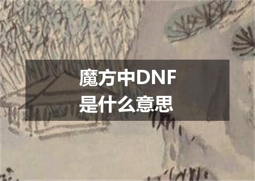 魔方中DNF是什么意思