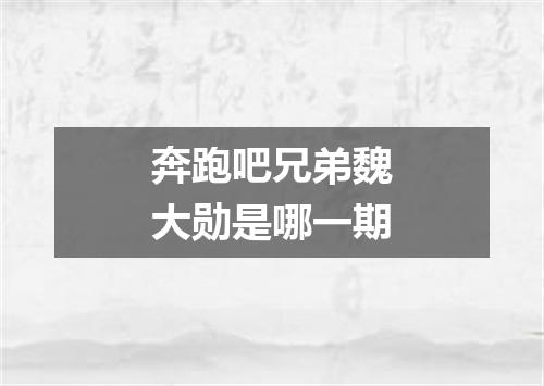 奔跑吧兄弟魏大勋是哪一期
