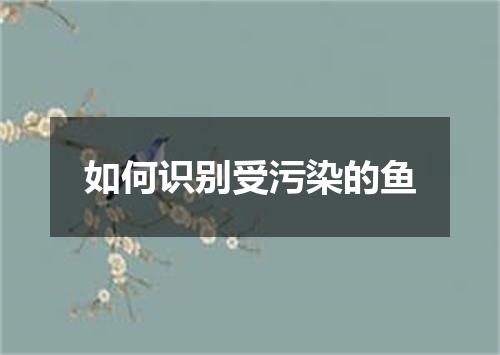 如何识别受污染的鱼