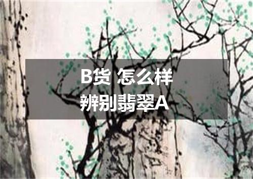 B货 怎么样辨别翡翠A