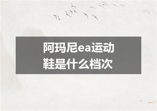 阿玛尼ea运动鞋是什么档次