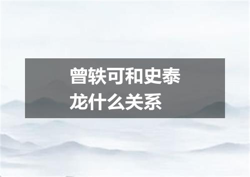 曾轶可和史泰龙什么关系