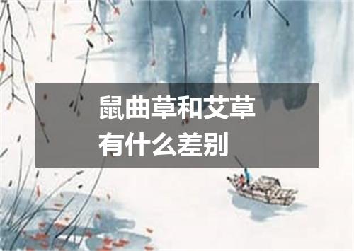 鼠曲草和艾草有什么差别