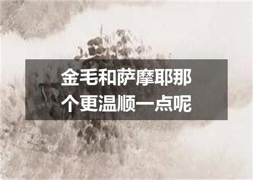 金毛和萨摩耶那个更温顺一点呢