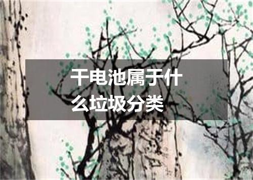 干电池属于什么垃圾分类