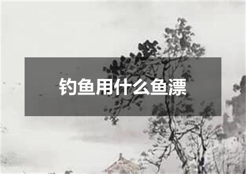 钓鱼用什么鱼漂