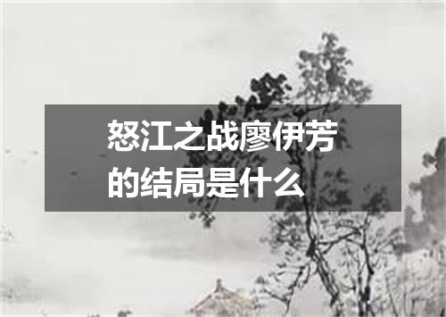 怒江之战廖伊芳的结局是什么