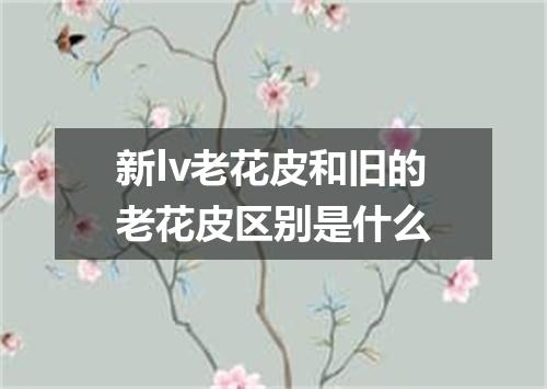 新lv老花皮和旧的老花皮区别是什么