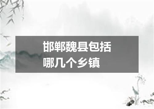 邯郸魏县包括哪几个乡镇