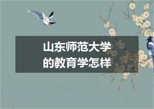 山东师范大学的教育学怎样