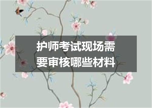 护师考试现场需要审核哪些材料