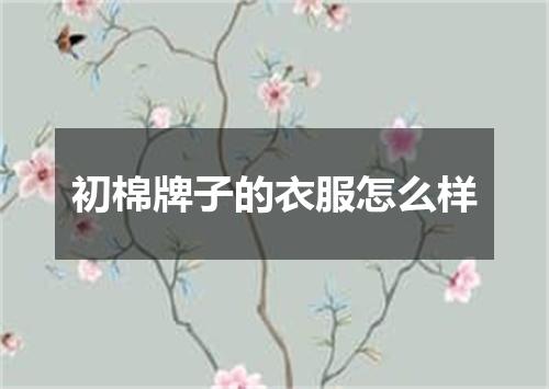 初棉牌子的衣服怎么样