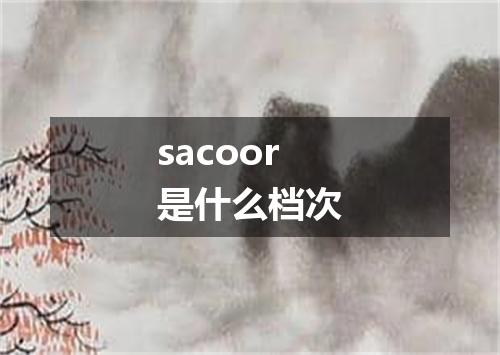 sacoor是什么档次
