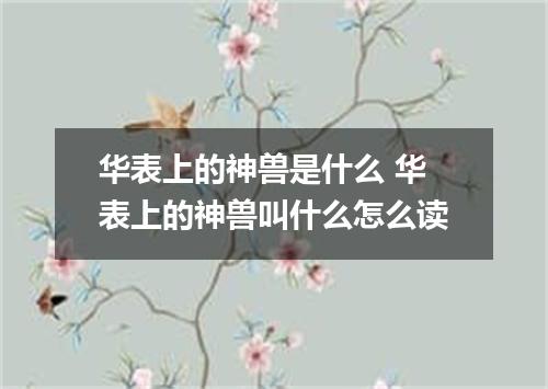华表上的神兽是什么 华表上的神兽叫什么怎么读