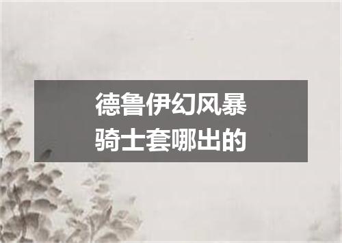 德鲁伊幻风暴骑士套哪出的