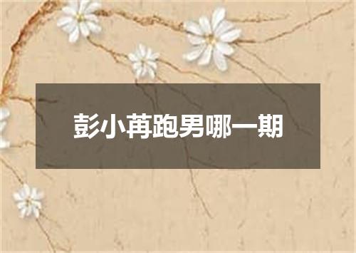 彭小苒跑男哪一期