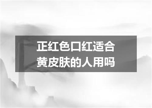 正红色口红适合黄皮肤的人用吗